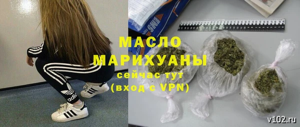 дурь Гусев