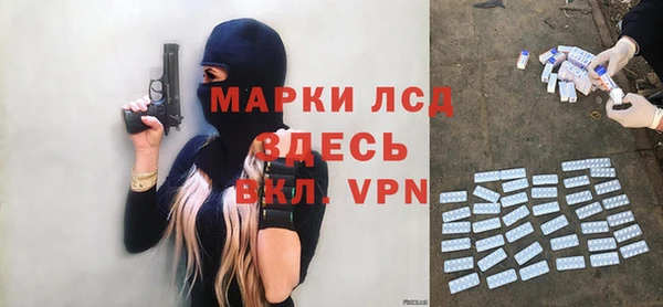дурь Гусев