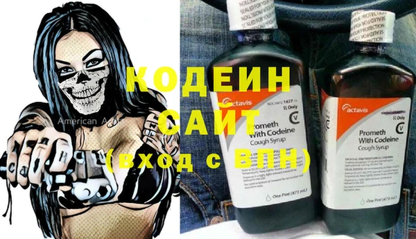 дурь Гусев