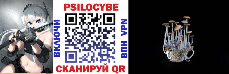 магазин    Олёкминск  Псилоцибиновые грибы GOLDEN TEACHER 